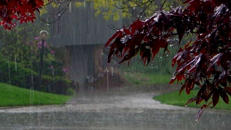  കനത്ത മഴ ;എറണാകുളം ജില്ലയിൽ വിദ്യാഭ്യാസ സ്ഥാപനങ്ങൾക്ക് നാളെ അവധി